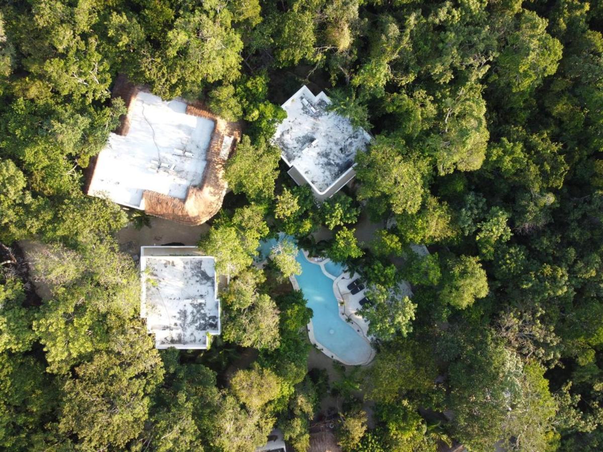 Cachito De Cielo Luxury Jungle Lodge Tulum Eksteriør billede